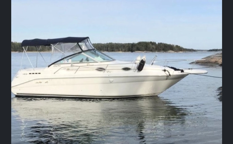 Sea Ray 270 Sundancer-kuva-11